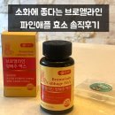 소화로 | 에이치어스 브로멜라인 양배추 맥스 파인애플효소 소화효소 맛있었던 후기