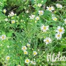 원식농장 이미지