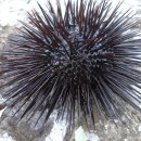 세보한의원 이미지