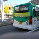 수원-1241 이미지