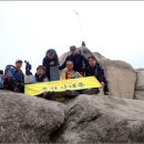 선달바우 이미지