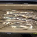 도깨비호프 이미지