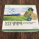 한농 NTF 생명력 ! 이미지