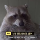 두번째로맛있는집 이미지