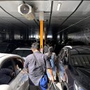 모니카애견 이미지