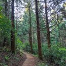 봉래산체육공원 이미지