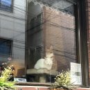 월드밋션 | 성수 팝업스토어 무신사 메가 스토어부터 홍대까지 동선 및 카페