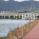 하천(유등천4) 이미지