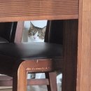 로또하우스 | 20대에 로또 돼서 자가 마련한 후기