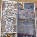로컬까회 이미지