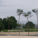 이리신동초등학교 이미지