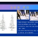 방추 이미지