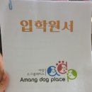 아망도그플레이스 이미지
