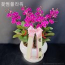 장안동꽃집 꽃썸플라워 설렘이 오래 남는 자리!