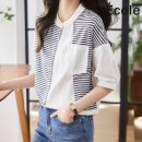 헤이빈