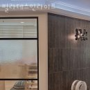 BODY CARE GYM | 야탑동 필라테스 필라테스인라이프 위치.가격.시간.후기