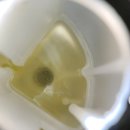 에이티커스텀 이미지