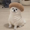 참조은 목장 | 12월 머했는지 보고서