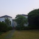 파파모터스 이미지