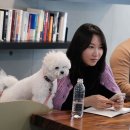 디니어 - 김해시 | 디니어
