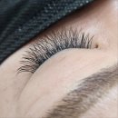 플로라뷰티 이미지