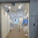 더모나코빌딩 | 군산 시민사진관 방문 후기｜반려동물과 함께 즐기는 군산 셀프스튜디오
