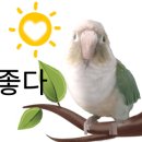 지웰중국어학원
