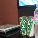 사이다 코인노래연습장 이미지