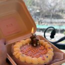 CHAOS371 카페펜션 | 가평 글램핑 | 해목담 1박2일 여행 후기⛺️🔥🏞️