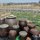 앞뜰농장 이미지