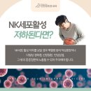 장튼튼내과의원 | 인천 장튼튼 내과 면역 리포트｜NK세포 활성도가 낮으면 싸이모신알파1 주사가 필요할까요?