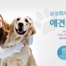 삼성애견 네이버블로그