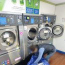 크린토피아강남언주역점