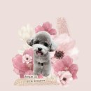 꽃피우개 이미지