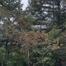 시간여행 이미지