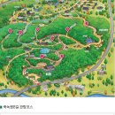 죽녹원
