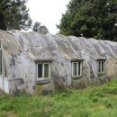 제주 이시돌목장 테시폰식 주택 이미지