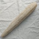 창대농원