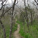 태백산가는길 이미지