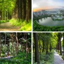 물소리바람소리 이미지