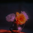 개인생활탐구 이미지