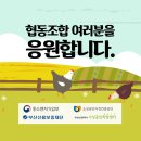 부산계란유통협동조합