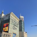 덕이네 | [강릉여행] 뚜벅이의 강릉 KTX 여행 준비 &amp; 정동진 해수욕장