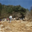 송하초등학교 이미지