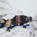 진안-진안-비상-25 이미지