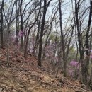 (주)창진산장휴게소