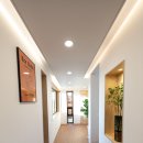 네이처러스 판포나일 이미지