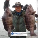 바다정성