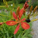 자미원농장 이미지