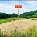 분지농장 이미지